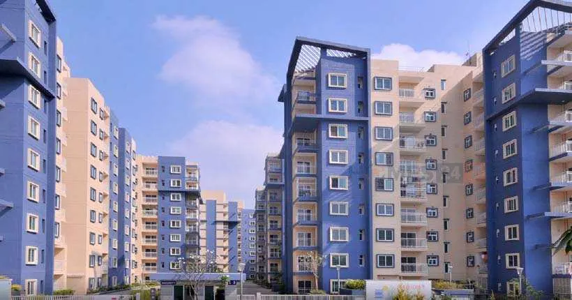 Brigade Meadows​